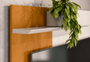 PAINEL ASTRO | MADETEC