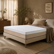 COLCHAO MOLAS ENSACADAS DREAMS ROLL | CASAL | 24CM