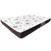 COLCHAO MOLEJO D20 CASAL 138X188X12